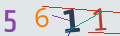 verifycode